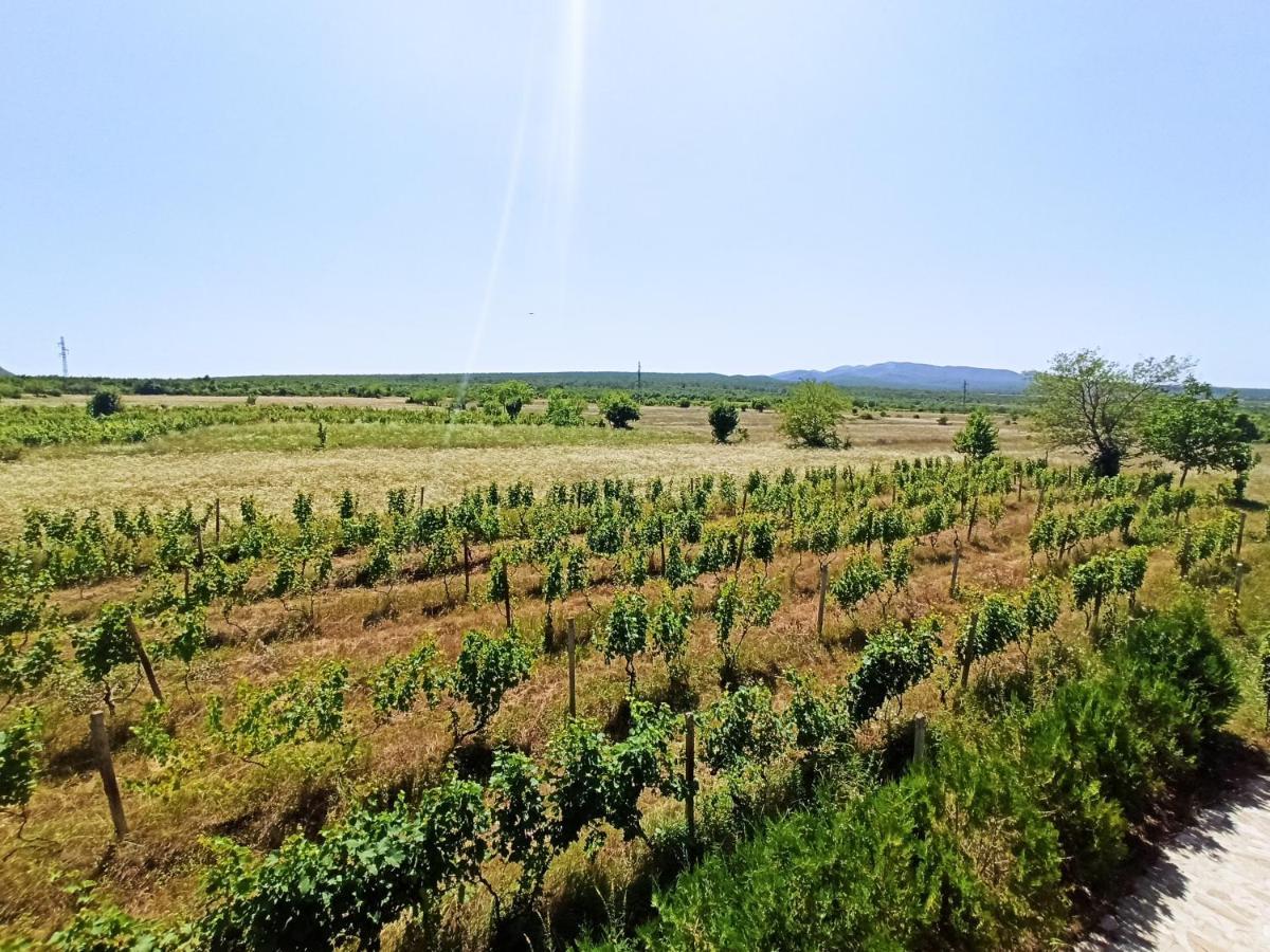 Chateau Tetri Bairagebi White Flags Kisiskhevi Bagian luar foto