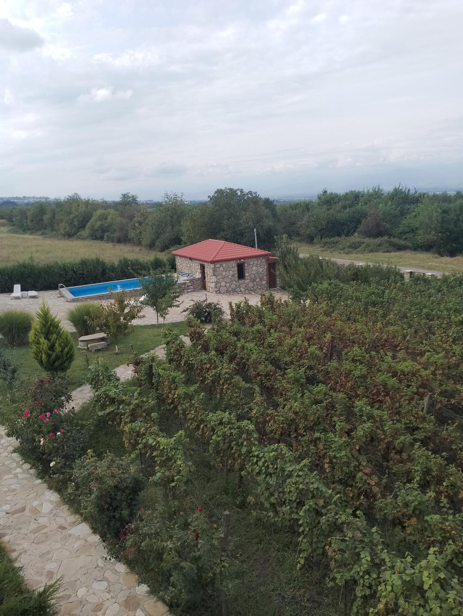 Chateau Tetri Bairagebi White Flags Kisiskhevi Bagian luar foto
